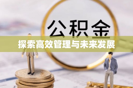 砚山探索高效管理与未来发展
