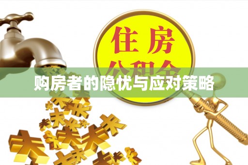 砚山购房者的隐忧与应对策略