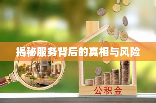 砚山揭秘服务背后的真相与风险